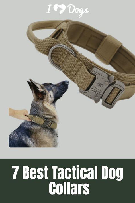 7 Best Tactical Dog Collars Military Dogs, Quick Release Buckle, Dog Collars, Metal Buckles, Large Dogs, Outdoors Adventure, Dog Collar, Dog Lovers, Collar