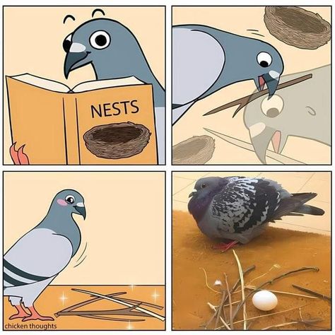 Funny Parrots, Funny Birds, Pretty Animals, Good Cartoons, Silly Animals, Memes Humor, Funny Animal Memes, Animal Jokes, Cute Comics