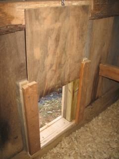 Chicken Coop Sliding Door Diy, Sliding Chicken Coop Door, Coop Doors Ideas, Chicken Coop Door Pulley, Diy Coop Door, Diy Chicken Door, Chicken Coop Doors Diy How To Build, Chicken Coop Door Ideas, Chicken Coop Doors