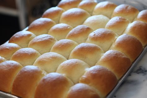 Butter Dinner Rolls, Easy Homemade Rolls, Best Yeast Rolls, Dinner Rolls Recipe Homemade, Easy French Bread Recipe, Quick Dinner Rolls, Dinner Rolls Easy, Homemade Yeast Rolls, Yeast Rolls Recipe