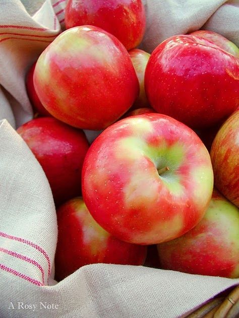 Happy First Day Of Fall, Honey Crisp, Cozy Clothes, Green Soup, First Day Of Fall, Honeycrisp Apples, Red Cottage, Magical Things, Wild Apple