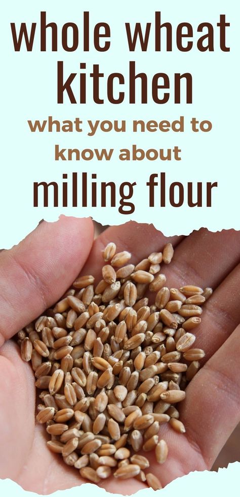 Making Flour From Wheat, How To Grind Your Own Wheat, How To Make Flour From Wheat, Grind Your Own Flour, Home Milled Grain Recipes, Grinding Wheat For Bread, Mill Your Own Flour, How To Make Your Own Flour, Grinding Your Own Flour