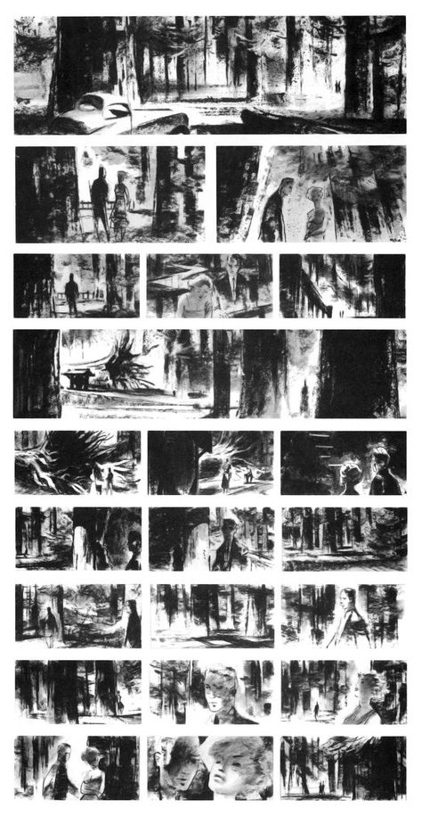 beautiful storyboards from Alfred Hitchcock's Vertigo Film Storyboard, Sequential Illustration, Vertigo 1958, Storyboard Film, Storyboard Drawing, Animation Storyboard, Graphic Novel Art, Storyboard Artist, Arte Sketchbook