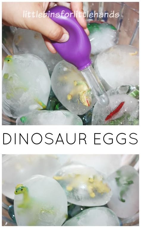 Easy to make frozen dinosaur eggs for ice melt science and sensory play. Frozen dinosaur eggs are simple to set up and provide hours of play and learning! Frozen Dinosaur Eggs, Dinosaurs Preschool, Dino Eggs, Dinosaur Activities, Dinosaur Crafts, Dinosaur Eggs, Preschool Science, Dinosaur Theme, Sensory Bin