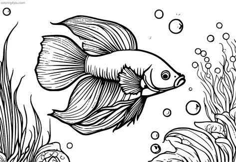 Betta Fish Fantasy Coloring Page - Immerse in the Magical Treasure Family Fun Day, Fish Swimming, Fun Day, Betta Fish, Coloring Page, Family Fun, Kids Party, Coloring Pages, Fish