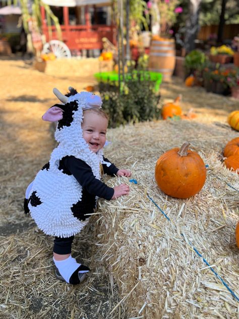 Cow Family Costume, Cow Family Halloween Costumes, Old Mcdonald Halloween Costume, Baby Cow Costume, Toddler Cow Costume, Cow Halloween Costume, Farmer Costume, Farmer Baby, Family Themed Halloween Costumes