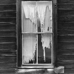 Torn curtain by Robert Pyle Torn Curtain, Body Horror, Broken Window, Southern Gothic, Beautiful Windows, Visual Diary, Through The Window, Photo Overlays, Through The Looking Glass