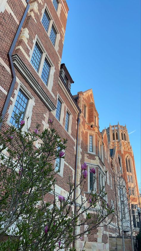 Vanderbilt Aesthetic, Vanderbilt University Aesthetic, Vanderbilt University, Dream Dorm, College Board, College Aesthetic, Senior Graduation, Dream College, Dream School