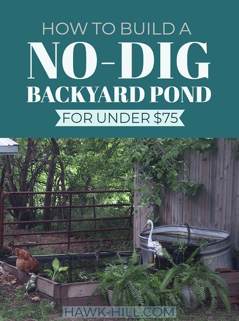 How to Build a No-Dig Backyard Pond for Under $70 · Hawk Hill Duck Pond Ideas, Diy Backyard Pond, Above Ground Pond, Backyard Pond Ideas, Backyard Ducks, Backyard Pond, Diy Pond, Pond Ideas, Pond Liner