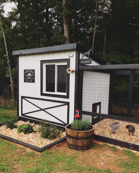 Black and white chicken coop Chicken Coop White, Black And White Chicken Coop Ideas, Chicken Coop Paint Ideas Hen House, Chicken Coop White And Black, Funny Chicken Coop Ideas, Simple Backyard Chicken Coop Ideas, In Town Chicken Coop, Gray And Black Chicken Coop, Soy Chicken Coop