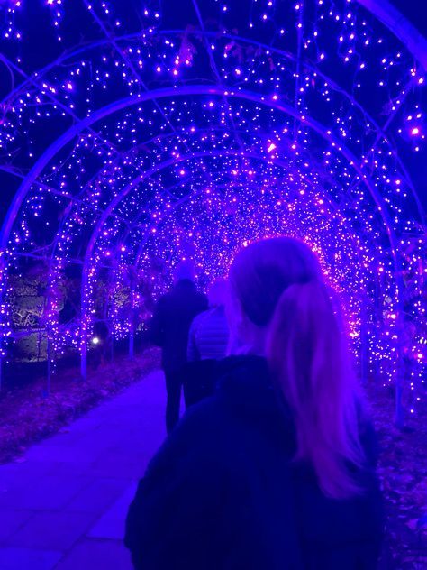 Outdoor Decoration Ideas, Outdoor Christmas Decoration Ideas, Christmas Lights Outside, Light Tunnel, Christmas Light Show, Aesthetic Light, Christmas Decoration Ideas, Winter Light, Winter Walk