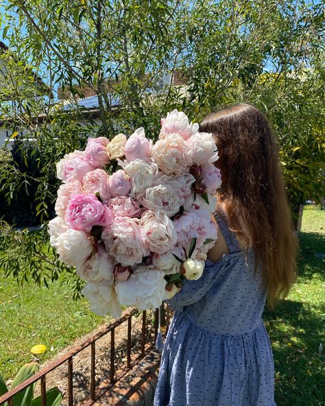 ✨🌸✨ PEONIES ✨🌸✨ We all squealed when @whitecottage_flowerfarm_ arrived with the sweetest peonies! They are here waiting for you tomorrow 💕💗 Peonies At Wedding, Winter Peonies, Open Peony, Waiting For You, Peonies, Our Wedding