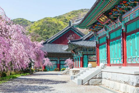 Korean Architecture, Ancient Korea, Gyeongbokgung Palace, Living In Korea, Cherry Blossom Japan, Malaysia Airlines, Asian Architecture, Natural Heritage, Korea Travel