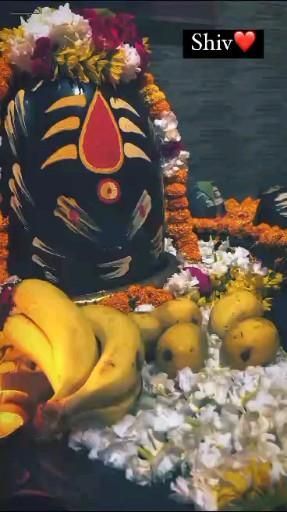 #shiv shambhu#shankar bhagwan#bholenath Shravan Month Wishes Video, Shankar Bhagwan Lord Shiva, Sravan Maas Mahadev, Shankar Bhagwan Wallpaper, Shiv Shankar Image, Shiv Bhagwan, Bhagwan Shiv, Mahakal Pic Ujjain, God Venkateswara Images Hd Wallpaper