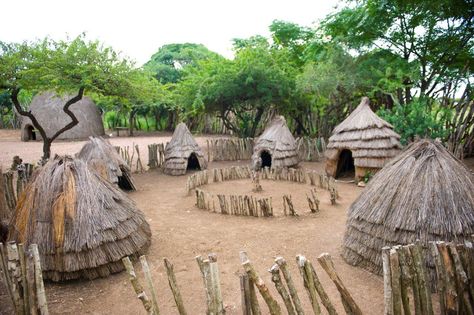 Zulu Cultural Village adjacent to Zulu Nyala Zulu Culture Art, Zulu Culture Aesthetic, Zulu Aesthetic, Africa Village, African Chair, Zulu Culture, Zulu Wedding, African History Facts, Zulu Warrior