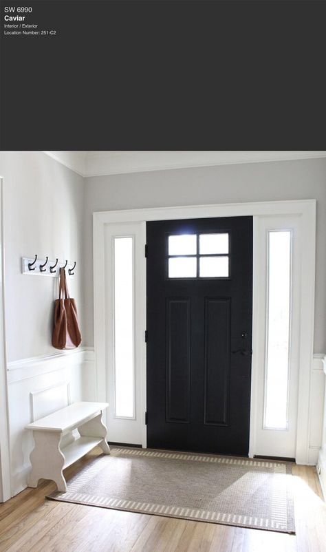 7 Best Black Paint Colors By Sherwin-Williams — Tag & Tibby Design Interior Farmhouse Doors, Farmhouse Interior Doors, Black Exterior Doors, Modern Farmhouse Entryway, Black Front Door, Front Door Interior, Entryway Door, Black Paint Color, Front Door Entryway