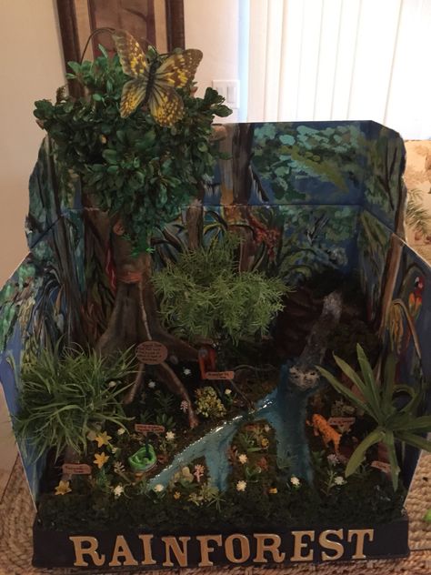 Sophias diorama rain forest Rain Forest Diorama, Ecosystems Diorama, Endangered Animals Project, Habitat Diorama, Habitat Activities, Biomes Project, Rainforest Project, Rainforest Biome, Diorama Kids