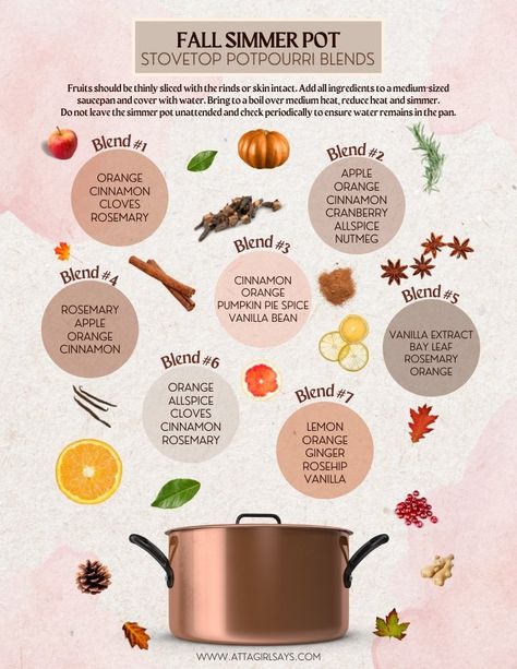 Fall Stovetop Potpourri House Smells, Stove Top Popurri Fall, Call Simmer Pot, Potpourri Crock Pot, Fall Popourie, Fall Scent Stovetop, Simmer Pots Witchcraft Fall, Fall Scent Simmer Pot, Pumpkin Spice Stovetop Potpourri