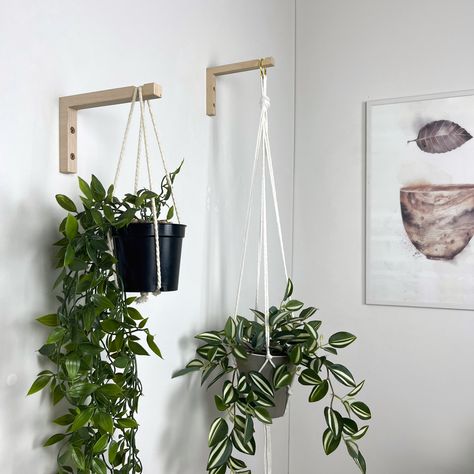 This beautiful 6"x4" wooden planter hook for wall makes for the perfect addition to any living space. Perfectly handmade with a minimalist design, the rectangular bracket is both stylish and supportive for your plants. It includes all hardware for easy installation on both brick and concrete walls. An excellent choice for any plant-lovers. DIMENSIONS: Plant Hanger Hook (LxH) - 6 inch x 4 inch (15 cm x 10 cm) PRODUCT MATERIAL: Birch Plywood, hand-finished COLOR: Natural MAX LOAD: Up to 9 lb (4 kg Plants Around Door Frame, Gallery Wall With Plants, Plants On Wall, Plant Wall Hanger, Hanging Plant Hooks, Brick And Concrete, Planter Macrame, Wall Plants, Wall Hanging Plant