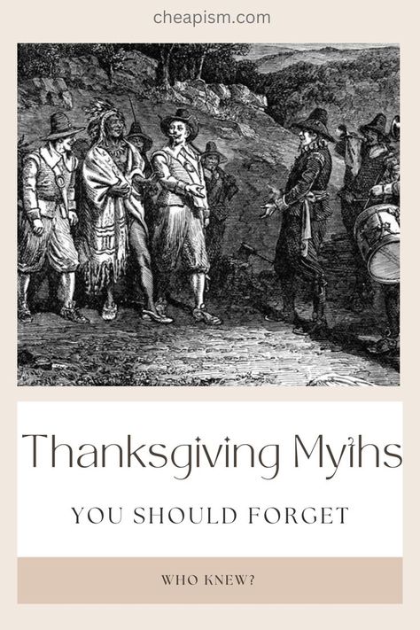 What you learned growing up, while participating in Thanksgiving pageants, may not be historically correct. In fact, everything you think you know — from the Pilgrims landing on Plymouth Rock to turkey making you tired — may be wrong. Read on for some surprising Thanksgiving truths. #thanksgiving #trivia #thanksgivingdinner #happyholidays #holidays Celebrity Thanksgiving, Story Of Thanksgiving, History Of Thanksgiving, Thanksgiving Trivia, Thanksgiving History, Thanksgiving Facts, Thanksgiving Stories, The Pilgrims, Plymouth Rock