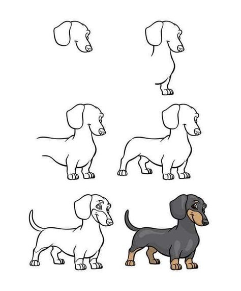 Dachshund Sketch, Dachshund Drawing, Dog Drawing Tutorial, Dachshund Cartoon, Dachshund Illustration, Pencil Drawing Tutorials, Dachshund Art, Drawing Tutorial Easy, Art Drawings Sketches Creative