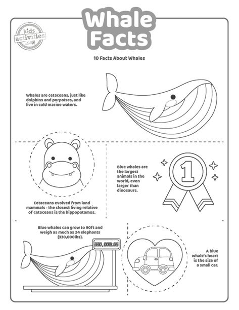 Fun Whale Facts for Kids to Print & Learn Whale Facts For Kids, Whale Chart, Whale Coloring, Whale Facts, Whale Crafts, Whale Coloring Pages, Facts For Kids, Charts For Kids, Whale Watching