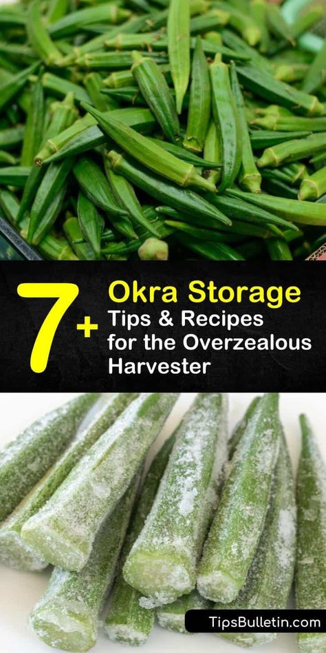 How To Boil Fresh Okra, How To Store Okra, Pickle Okra, Pantry Solutions, Freezing Veggies, Growing Okra, Fresh Okra, Okra Water, Canned Pickles