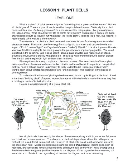 Botany in 8 Lessons –Homeschool Science Course for All Ages - The Curriculum Choice Botany Lessons, Farm Lessons, Homeschool Science Curriculum, Science Topics, Plant Cell, Homeschool High School, High School Science, Plant Information, Lesson 1