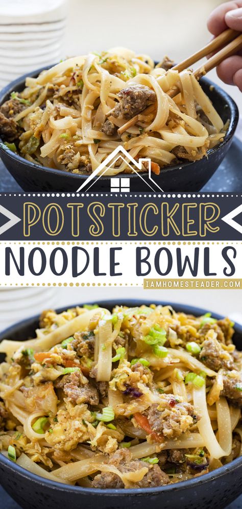 Ground Pork Pot Sticker Bowl, Pork Noodles Recipe Soup, Ramen With Ground Pork, Pot Sticker Bowl, Dinner Ideas Ground Pork, Potsticker Appetizer, Pot Sticker Noodle Bowl, Potsticker Noodle Bowl, Recipes With Ground Pork Sausage