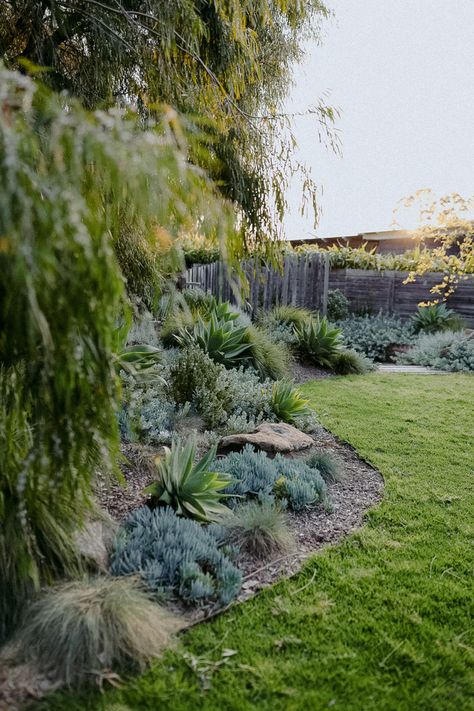 Garden with plants and trees, grass and a fire pit Front Yard Australian Landscape Design, West Australian Native Garden, Australian Native Landscape Design, Australian Native Garden Landscaping Front Yards, Low Maintenance Garden Australian Front Yard, Australian Garden Design Front Yards, Masculine Garden, Simple Front Garden Ideas Australian, Agave Garden Design