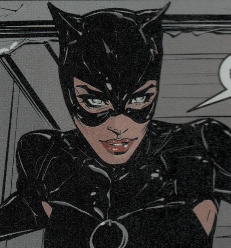 Selina Kyle Comic, Cat Woman Pfp, Catwoman Pfp, Catwoman Comic, Catwoman Selina Kyle, Fairy Grunge Aesthetic, Gotham Villains, Cat Women, Dc Icons