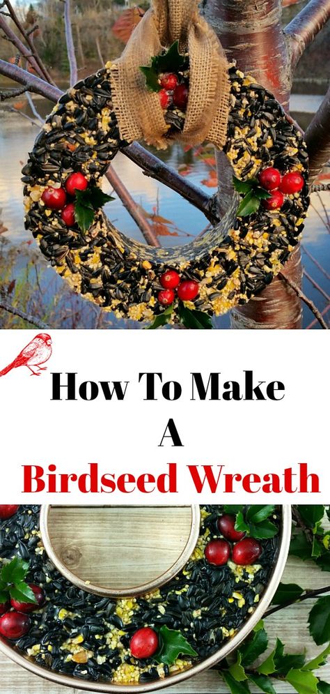 Snowman Bird Feeder, Birdseed Wreaths How To Make, Diy Birdseed Wreath, Bird Wreath Feeders, Bird Seed Wreaths How To Make, Birdseed Wreath Recipe, Diy Bird Seed Wreath, Bird Seed Wreath Diy, Christmas Bird Feeders Diy