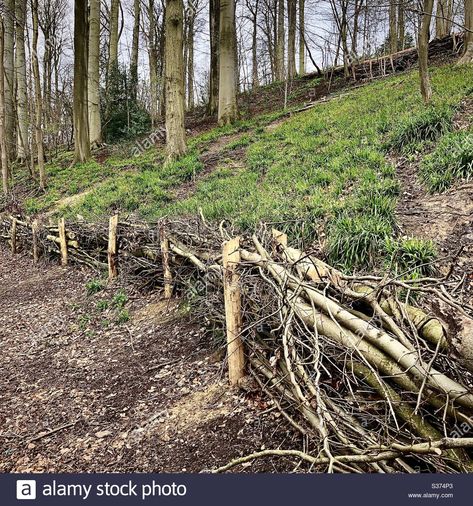 Stick Retaining Wall, Branch Garden Ideas, Twig Fences Tree Branches, Dead Hedge Fence, Tree Branch Fence, Natural Fencing, Natural Fences, Wooden Fencing, Log Fence