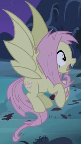 Fluttershy