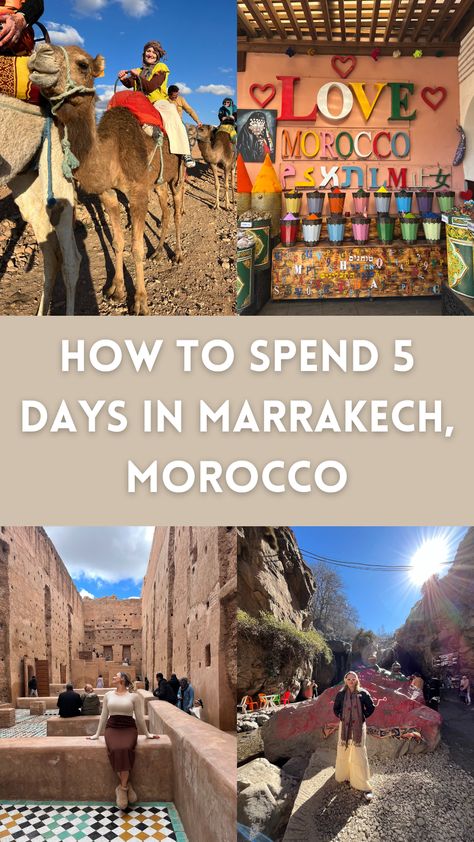 Marrakesh Travel, Morocco Desert, Travel Morocco, Visit Marrakech, Europe 2024, Marrakech Travel, Morocco Tours, Perfect Days, Casablanca Morocco