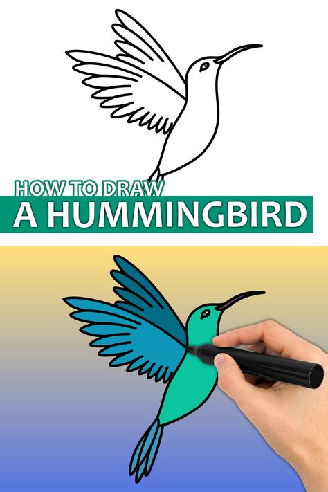 Humming Bird Drawing Easy Step By Step, Pictures Of Hummingbirds, How To Draw A Hummingbird, Hummingbird Painting Acrylic Easy, Draw A Hummingbird, Hummingbird Painting Acrylic, Hummingbird Art Drawing, Hummingbird Drawing, Beginner Drawing Lessons