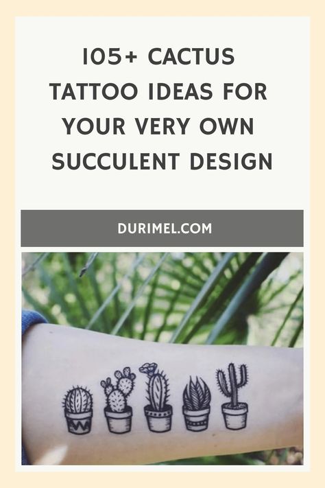 105+ Cactus Tattoo Ideas for Your Very Own Succulent Design Cactus Tattoo Meaning, Dainty Cactus Tattoo, Small Cactus Tattoo, Cactus Tattoo Ideas, Kinds Of Cactus, Succulent Tattoo, Succulent Design, Cactus Tattoo, Small Cactus