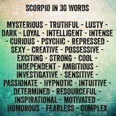 Scorpio in 30 words :-) Scorpio Personality Traits, Chilling Quotes, December Born, Sagittarius Baby, Scorpio Personality, Sagittarius Horoscope, Astrology Scorpio, Scorpio Traits, Pisces Girl