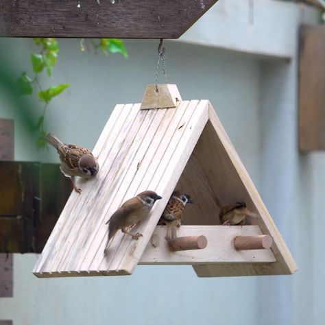 Turn old pallets into a simple wooden bird feeder for home decoration | Turn old pallets into a simple wooden bird feeder for home decoration | By Woodworking Tools TV | Facebook Woodwork For Beginners, Wooden Bird Feeders Diy, Birdfeeder Plans, Cedar Picket Projects, Easy Bird Houses To Make, Home Made Bird Feeders, Pallet Birdhouse, Bird Feeder Station Ideas, Diy Squirrel Feeder