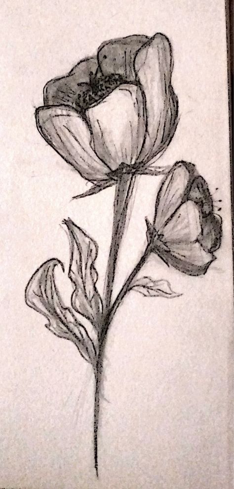 Pencil sketch of a flower Realistic Flower Sketches Pencil, Plant Sketch Pencil, Flower Drawing Pencil, Scribbling Drawing, Rose Flowers Drawing, Realistic Rose Drawing, Flower Sketch Pencil, Decoration Craft Ideas, Realistic Flower Drawing