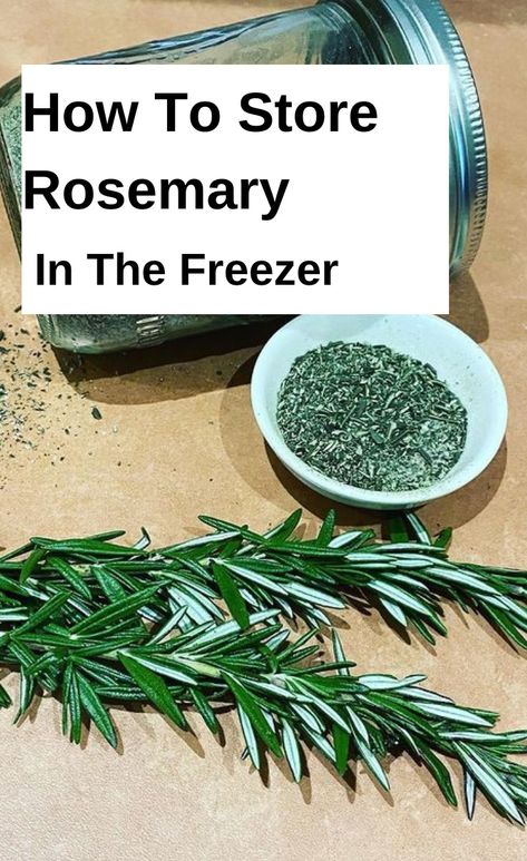 Rosemary Can You Freeze Fresh Rosemary, Freezing Rosemary Fresh Herbs, What To Do With Extra Rosemary, How To Preserve Rosemary From The Garden, Preserving Fresh Rosemary, How To Preserve Fresh Rosemary, Storing Rosemary Fresh Herbs, How To Freeze Fresh Rosemary, What To Do With Rosemary Fresh Herbs