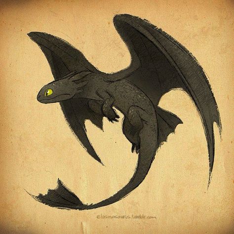 How to Train Your Dragon Toothless Toothless Movie, Toothless Tattoo, Toothless Sketch, Toothless Drawing, Httyd Toothless, Httyd Art, Toothless Dragon, Dragon Sketch, Httyd Dragons