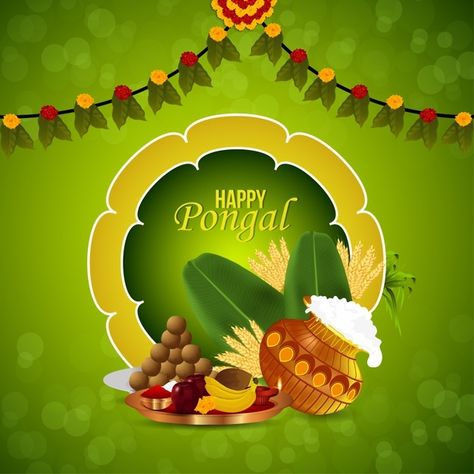 Happy Bhogi Images, Bhogi Images, Happy Bhogi Wishes, Pongal Wish, Bhogi Wishes, Happy Kanuma, Pongal Poster, Happy Pongal Images, Sankranti Background