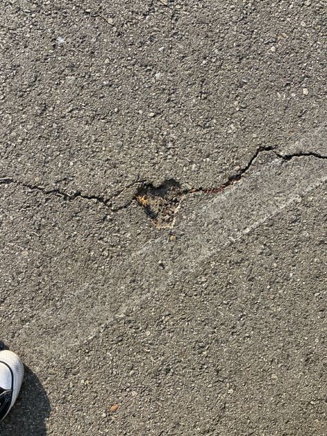 Random Heart Shaped Things, The Art Of Noticing Aesthetic, Soft Heart Aesthetic, Big Heart Aesthetic, Hearts In Nature, Hidden Hearts, Aesthetic Hearts, Healing Hearts, Heart In Nature