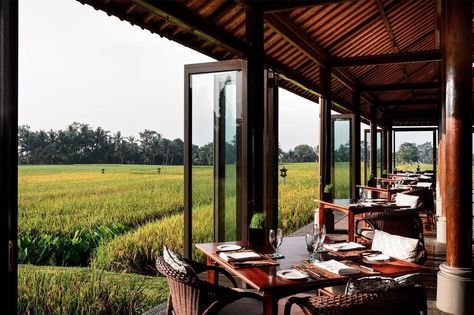 Apart from gorgeous beaches and vibrant nightlife, Bali is also known for its vast paddy fields. If you want to escape the tourist crowds and be cradled amidst these beautiful rice paddies, then check out these 5 hotels, resorts, and villas in Ubud that feature unbelievably stunning views of rice fields! Bali Restaurant, Ubud Hotels, Farm Cafe, Farm Restaurant, Best Airbnb, Rice Paddies, Thai House, Rice Field, Rest House