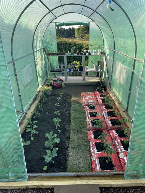 Polytunnel Layout Ideas, Polly Tunnel, Polytunnel Ideas, Flower Tunnel, Garden Tunnel, Poly Tunnel, Veg Patch, Courtyard Gardens Design, Vegetable Garden Design