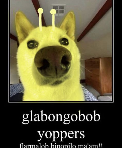 Alien Dog, Tumblr Aliens, Aliens Meme, Haha Meme, Aliens Guy, Family Guy Funny Moments, Wolf Images, Goofy Drawing, Cute Alien