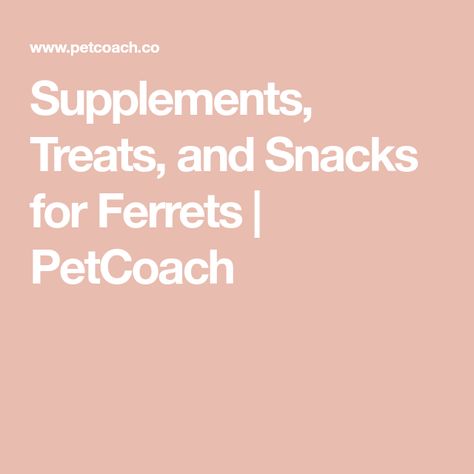 Supplements, Treats, and Snacks for Ferrets | PetCoach What Do Ferrets Eat, Ferret Treats, Ferret Diet, Ferrets Care, Diet Nutrition, Be Healthy, Happy And Healthy, Diet And Nutrition, Your Pet