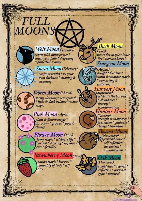 What Do Skulls Symbolize, Witchy Calander 2023, Which Astetic, Spirit Element Witchcraft, Witch Sigils Symbols, How To Start A Grimoire, Magic Tattoo Witches, Paganism For Beginners, Witch Activities