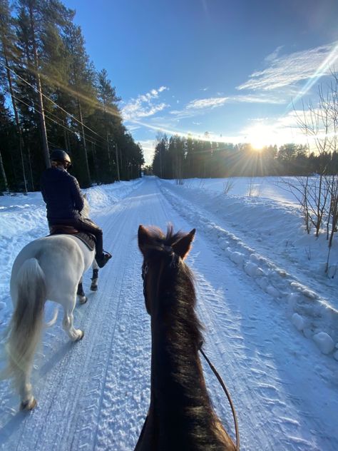 Snow Fireplace, Fireplace Aesthetic, Horses In Snow, Horsey Life, Horse Riding Aesthetic, Winter Horse, Cute Horse Pictures, Equestrian Aesthetic, December Christmas